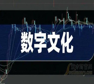 数字文化版权8