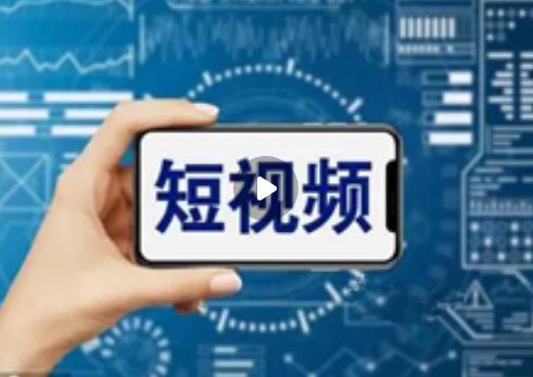 导游325号